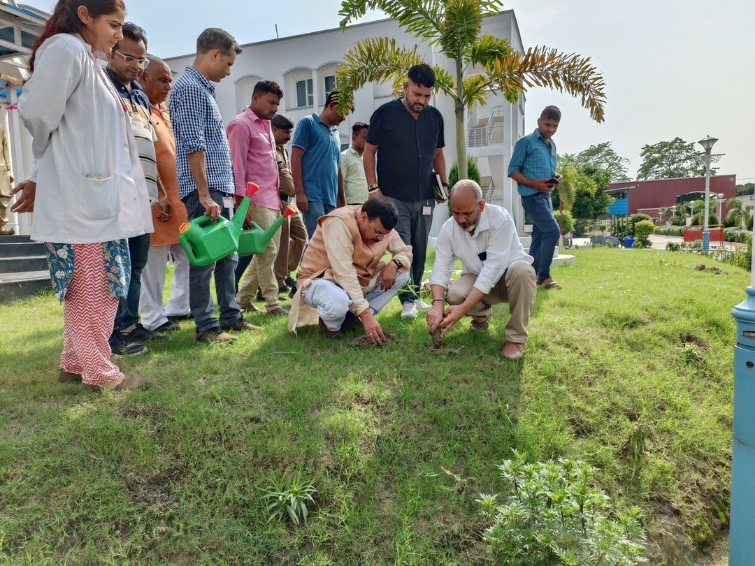 उत्तराखंड के लोक पर्व हरेला के पावन अवसर पर माननीय पूर्व विधायक श्री राजेश शुक्ल जी तथा रुद्रपुर विधायक श्री शिव अरोरा जी एवं मेयर रुद्रपुर श्री रामपाल जी द्वारा मेडिकल कॉलेज में वृक्षा रोपण किया गया प्रिंसिपल में० का0 डॉक्टर के एस शाही, डॉक्टर पंकज शुक्ल मुख्य कोषाधिकारी उधम सिंह नगर द्वारा भी वृक्षा रोपण किया गया